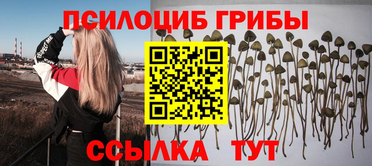 Канабис  ГАШИШ  Купить закладку  Краснотурьинск  Кетамин  МЕТАДОН  Мефедрон кристаллы  КОКАИН  Мефедрон  Вход с VPN  А ПВП СОЛЬ кристаллы 